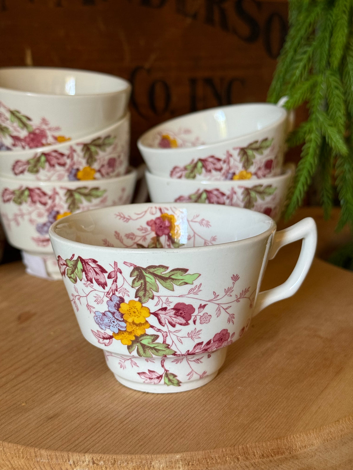 Vintage Ridgway English Garden Ironstone Teacup and Saucer