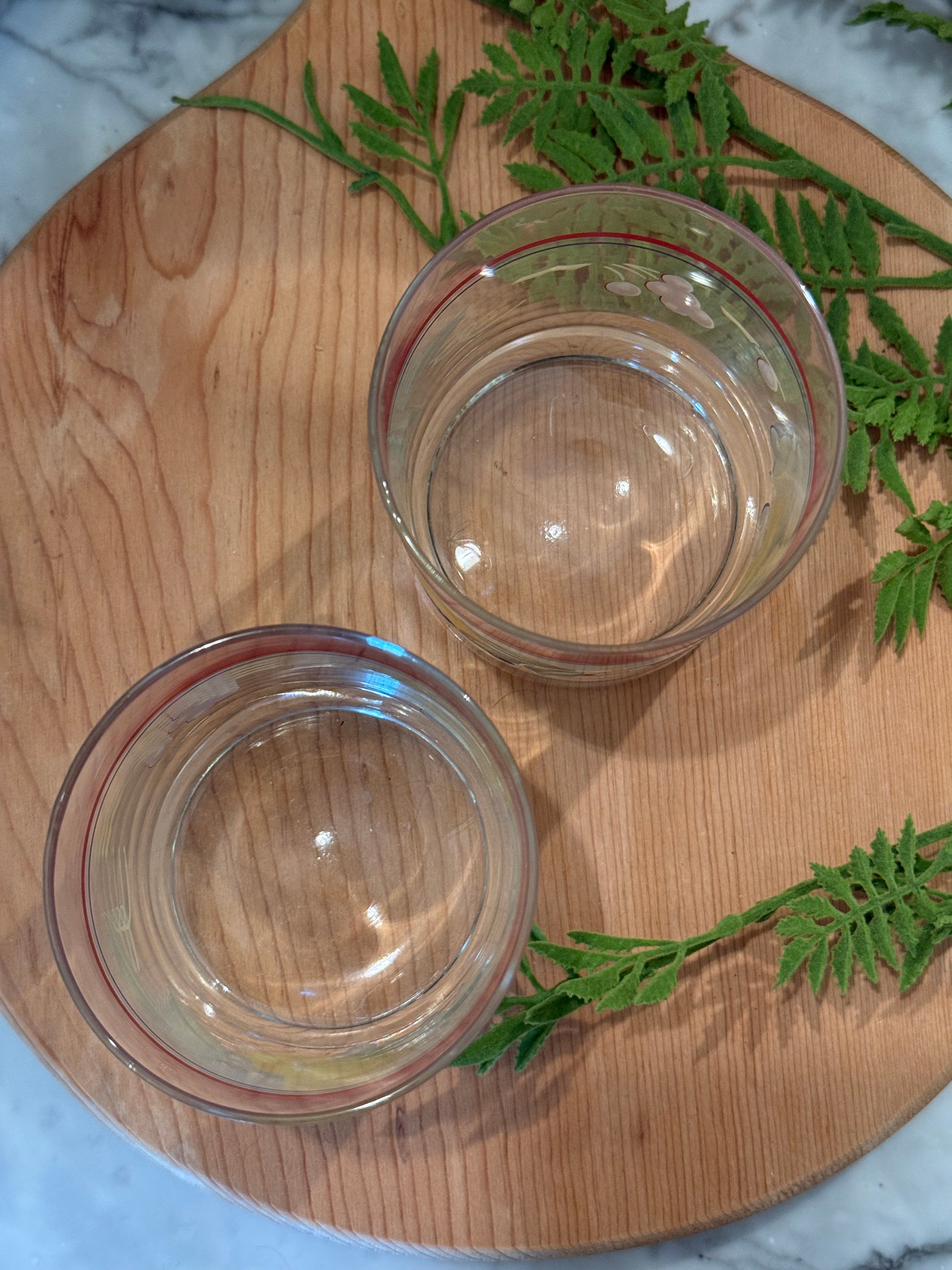 Set of 2 Vintage Corelle Corningware Abundance Juice Glasses
