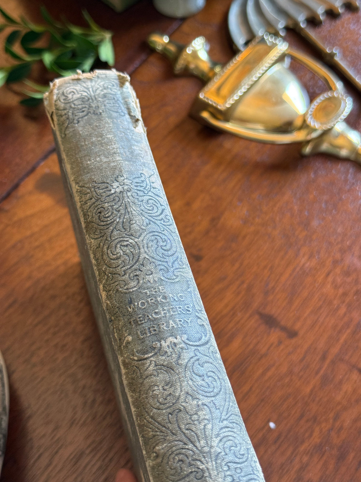 Antique 1895 The Working Teacher's Library Book