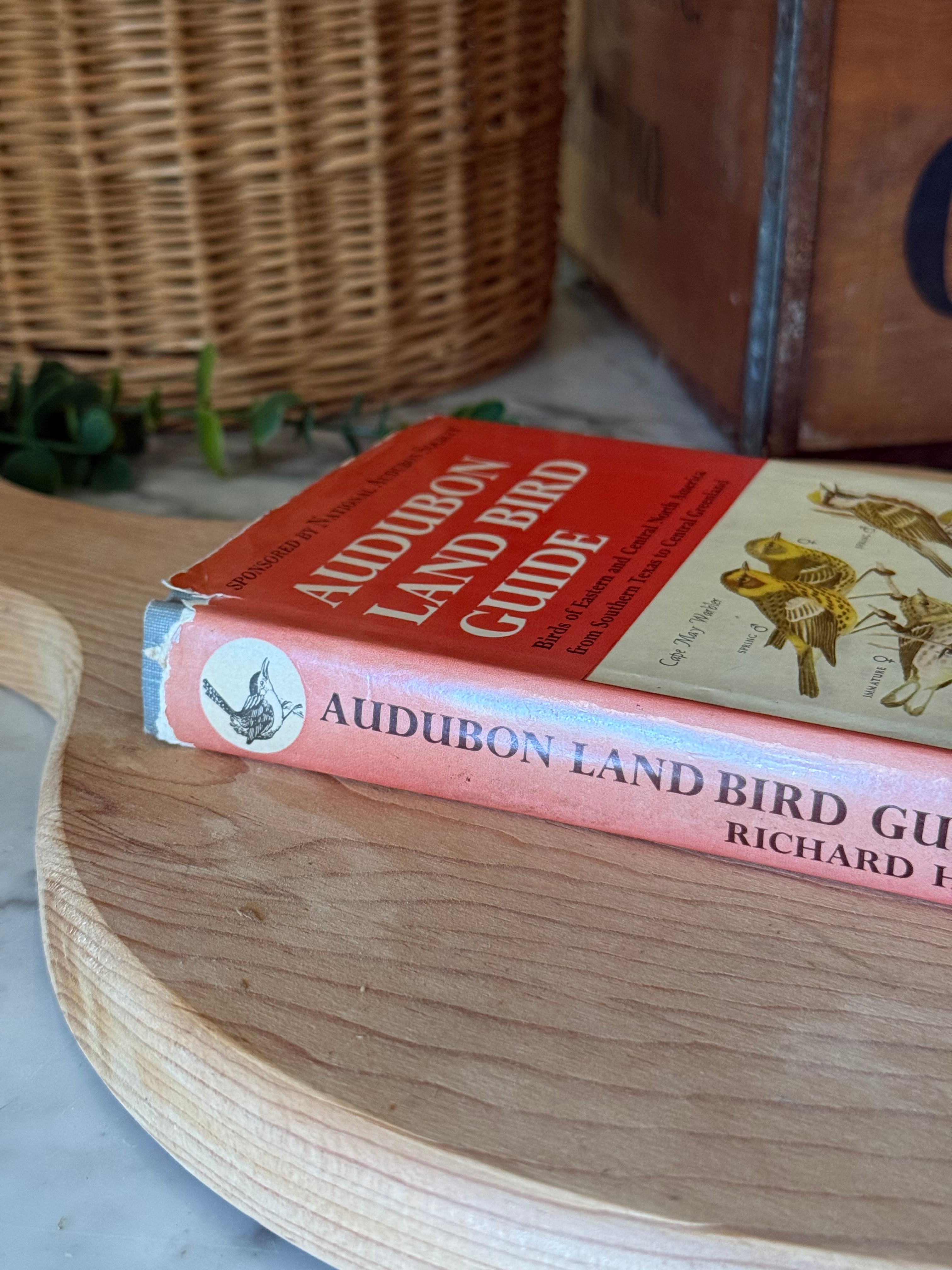Vintage Illustrated Audubon Land Bird Guide