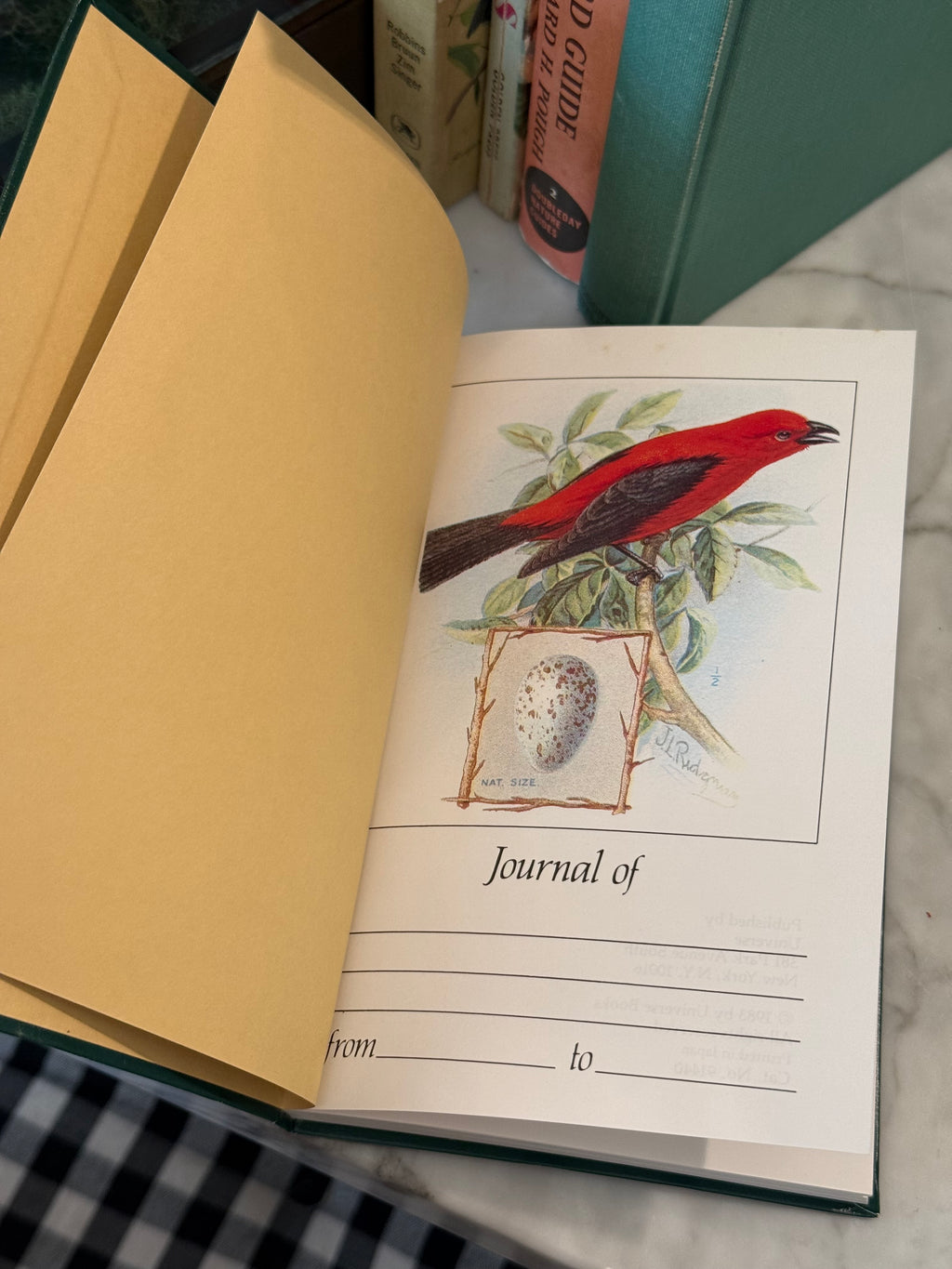 Vintage Audubon Bird Watching Pocket Journal
