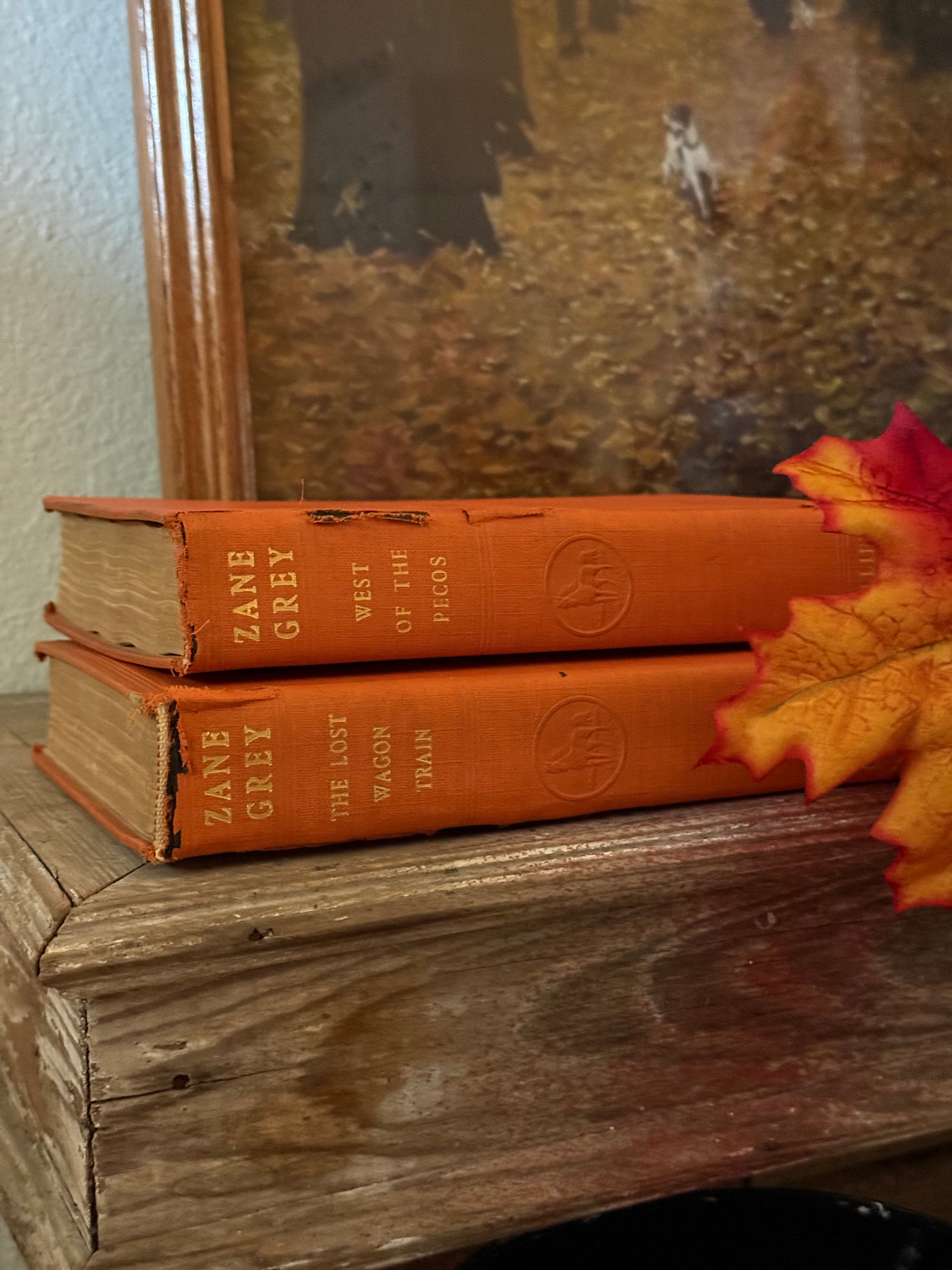 Vintage Orange Set of 2 Hardcover Books Shelf Decor by Zane Grey