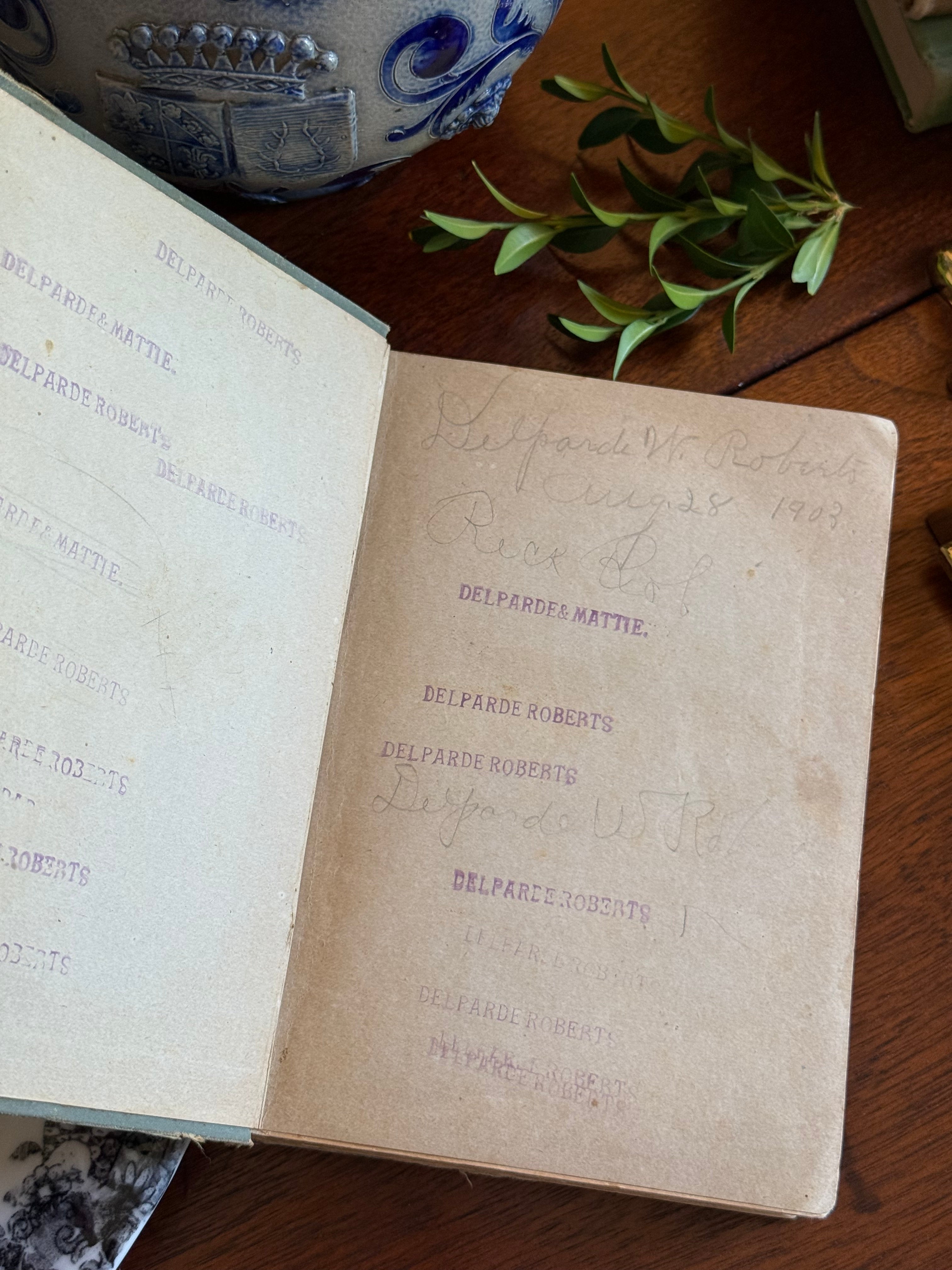 Antique 1895 The Working Teacher's Library Book