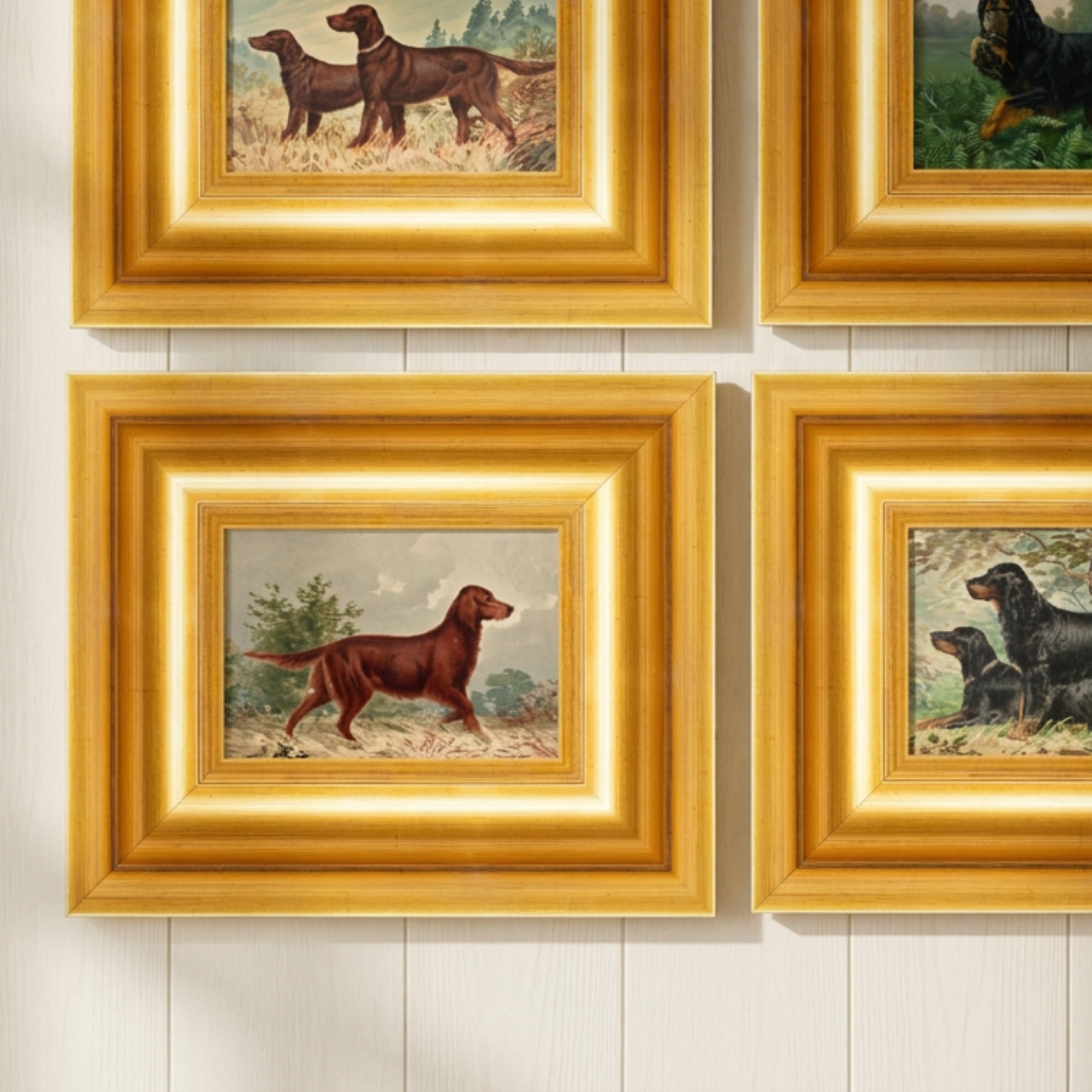 The Field Dog No. 06 - 5x7 Antique Inspired Framed English Sporting Dog Portrait