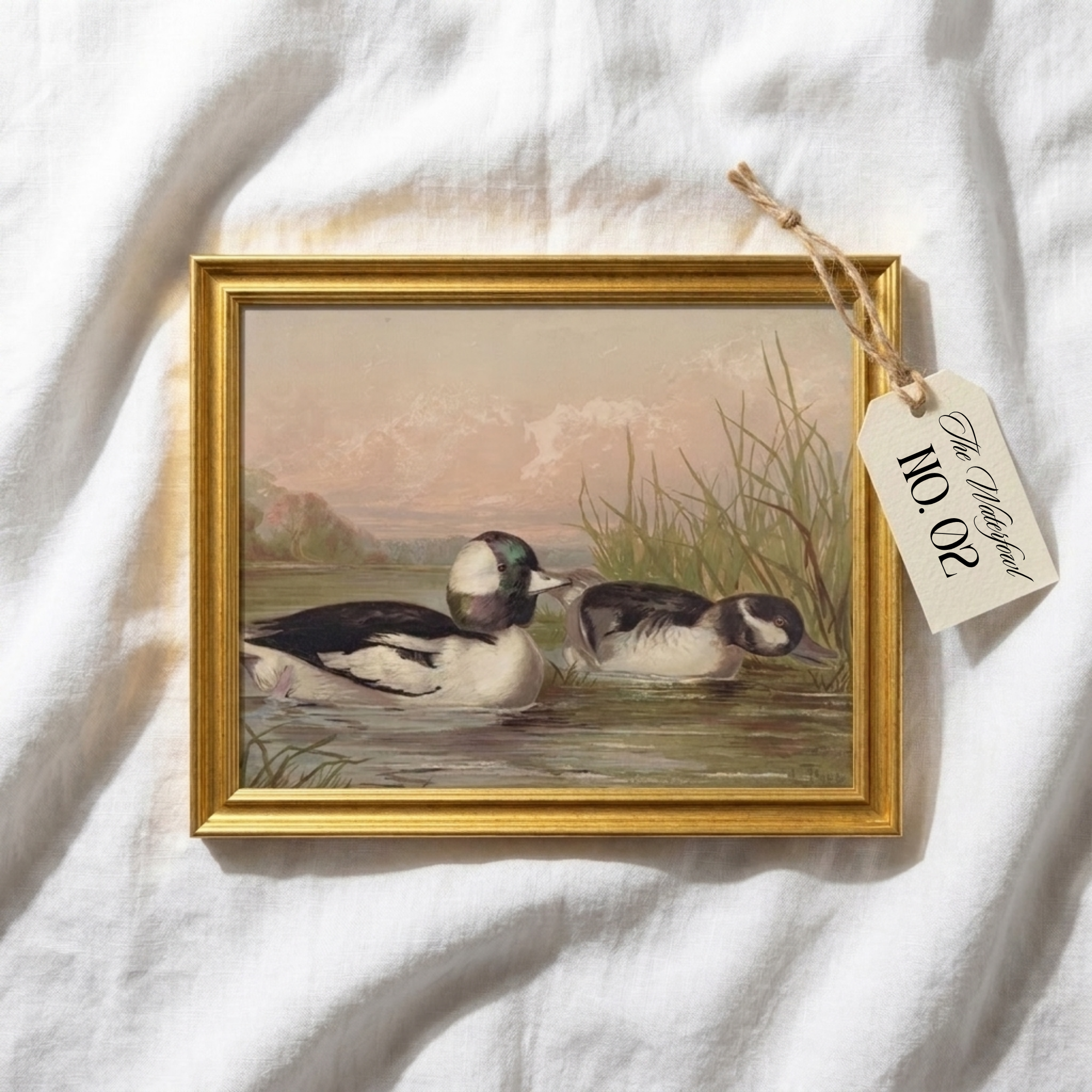 The Waterfowl No. 02 - Archival 8 x 10" Framed Bufflehead Ducks Fine Art Print