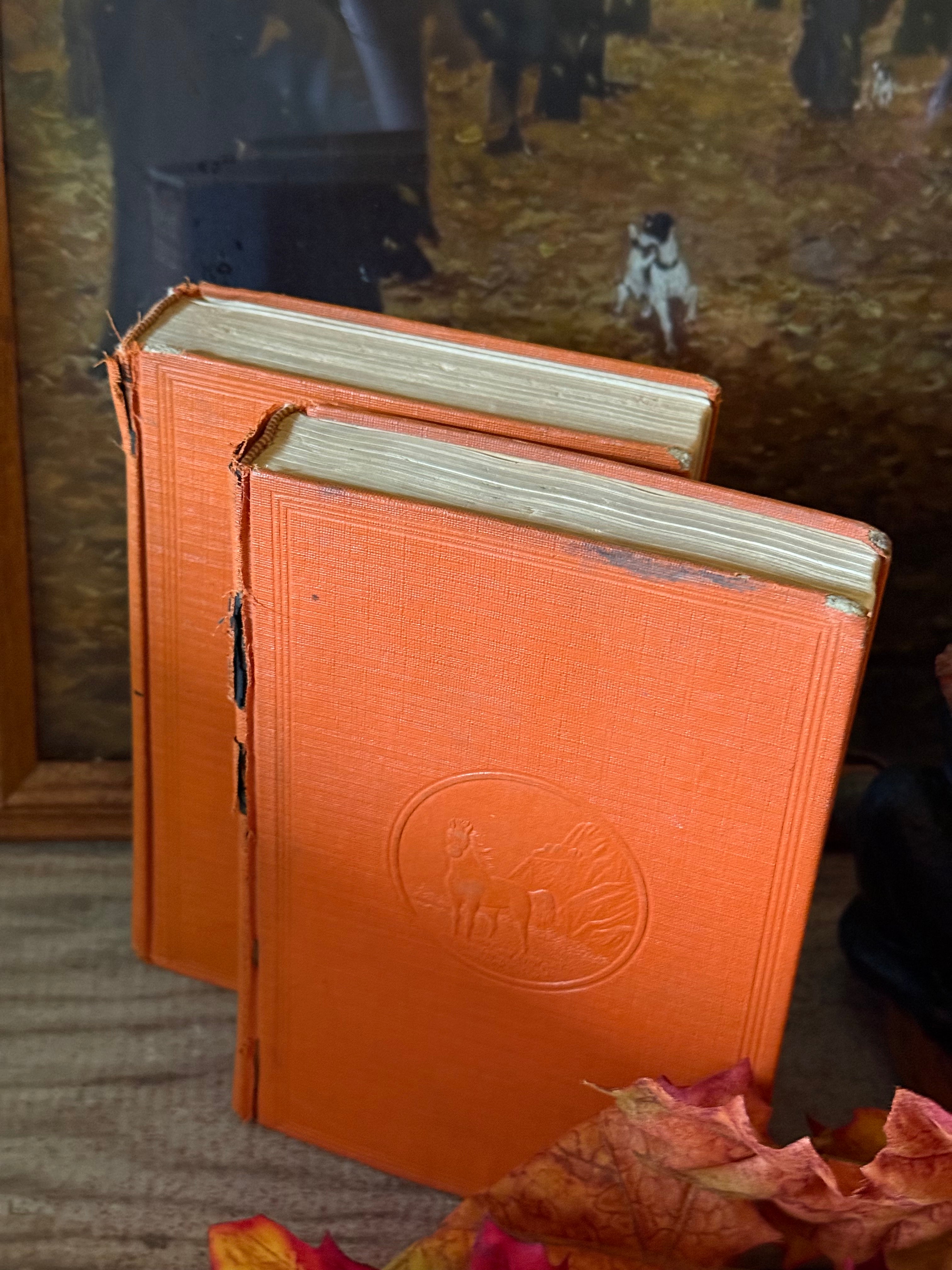 Vintage Orange Set of 2 Hardcover Books Shelf Decor by Zane Grey