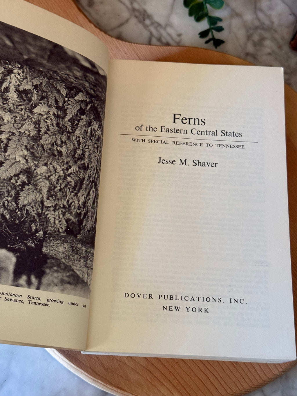 Vintage Ferns of the Eastern Central States Book