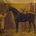 Man petting a horse in a stable setting