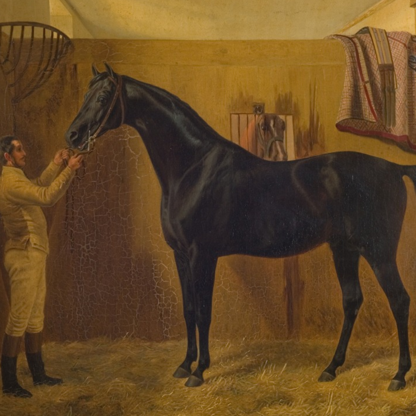 Man petting a horse in a stable setting