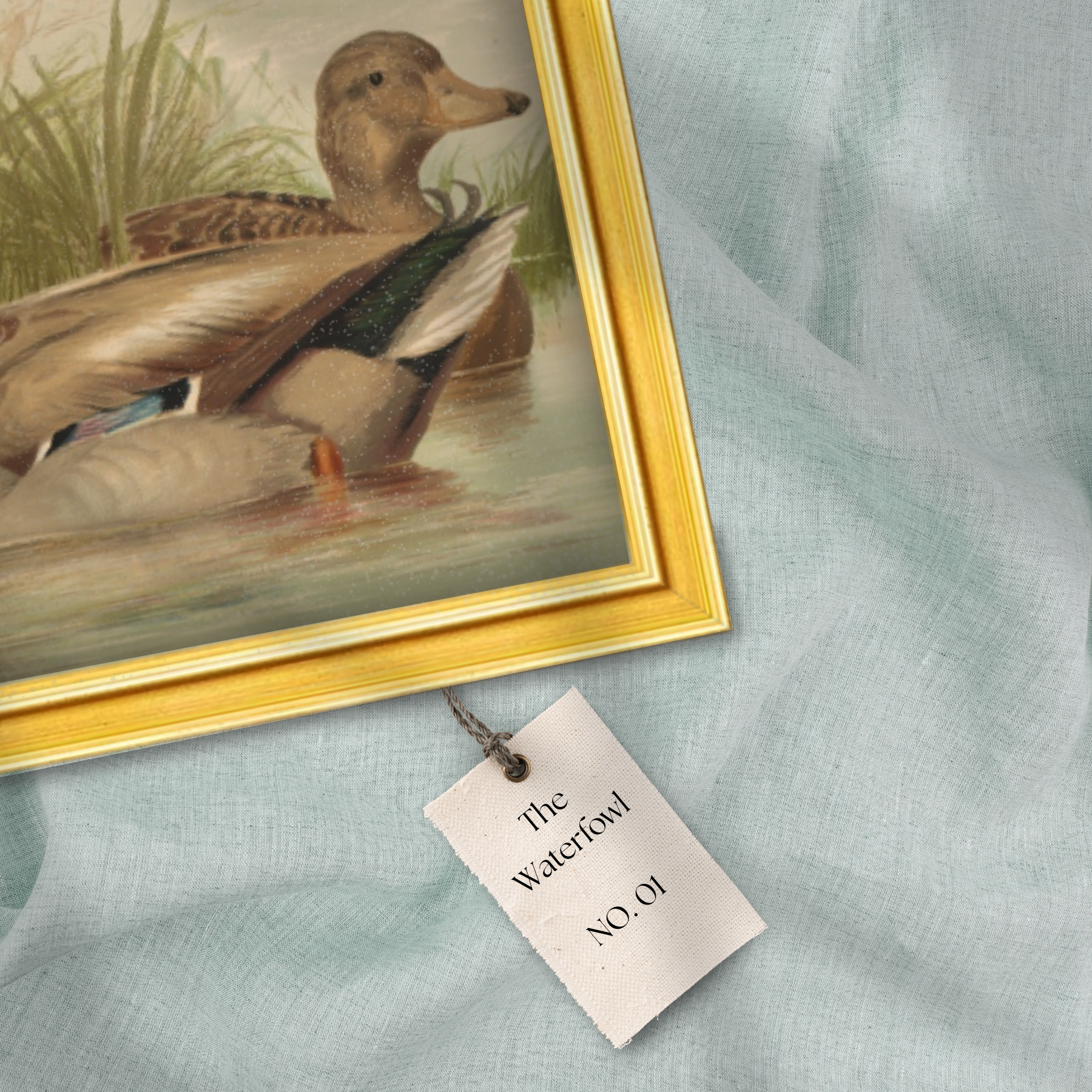 The Waterfowl No. 01