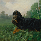 The Field Dog No. 08 - 5x7 Antique Gold Framed Gordon Setter Hunting Dog Portrait
