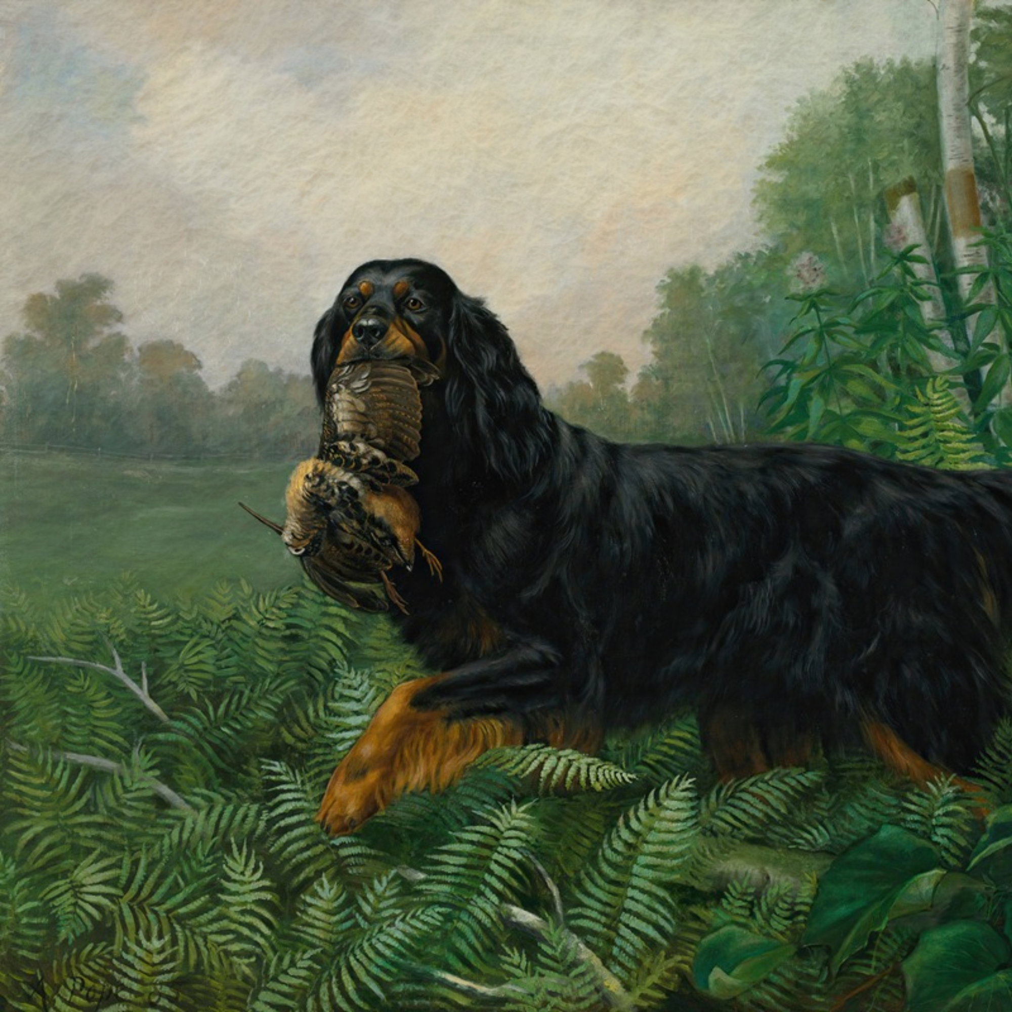 The Field Dog No. 08 - 5x7 Antique Gold Framed Gordon Setter Hunting Dog Portrait