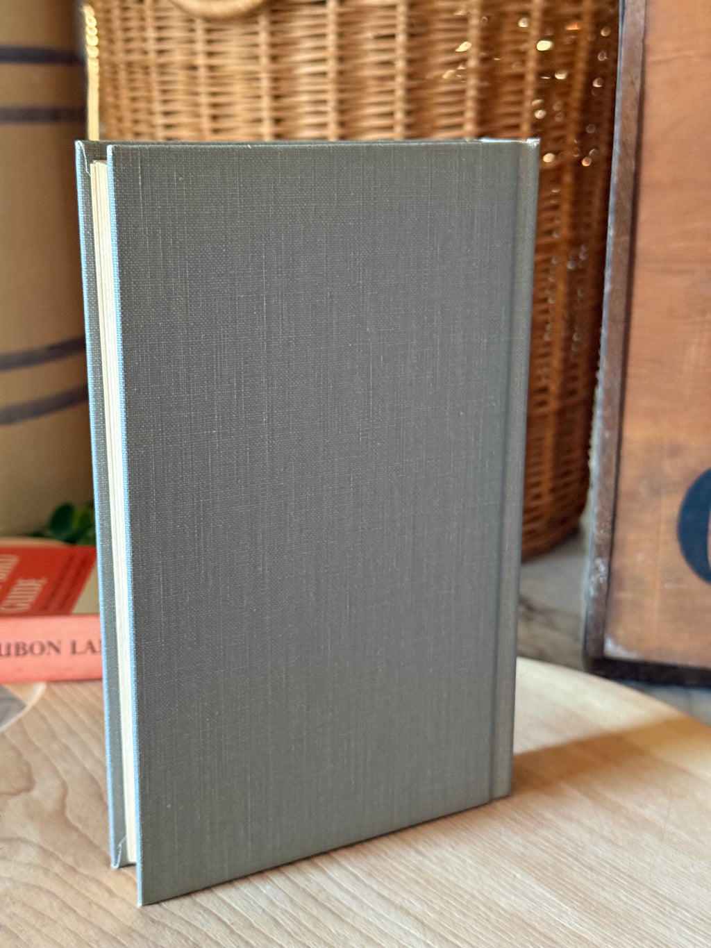 Vintage Illustrated Audubon Land Bird Guide