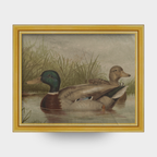 The Waterfowl No. 01