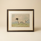The Field Dog No. 01 - Archival Deckled Edge Framed Retriever Print