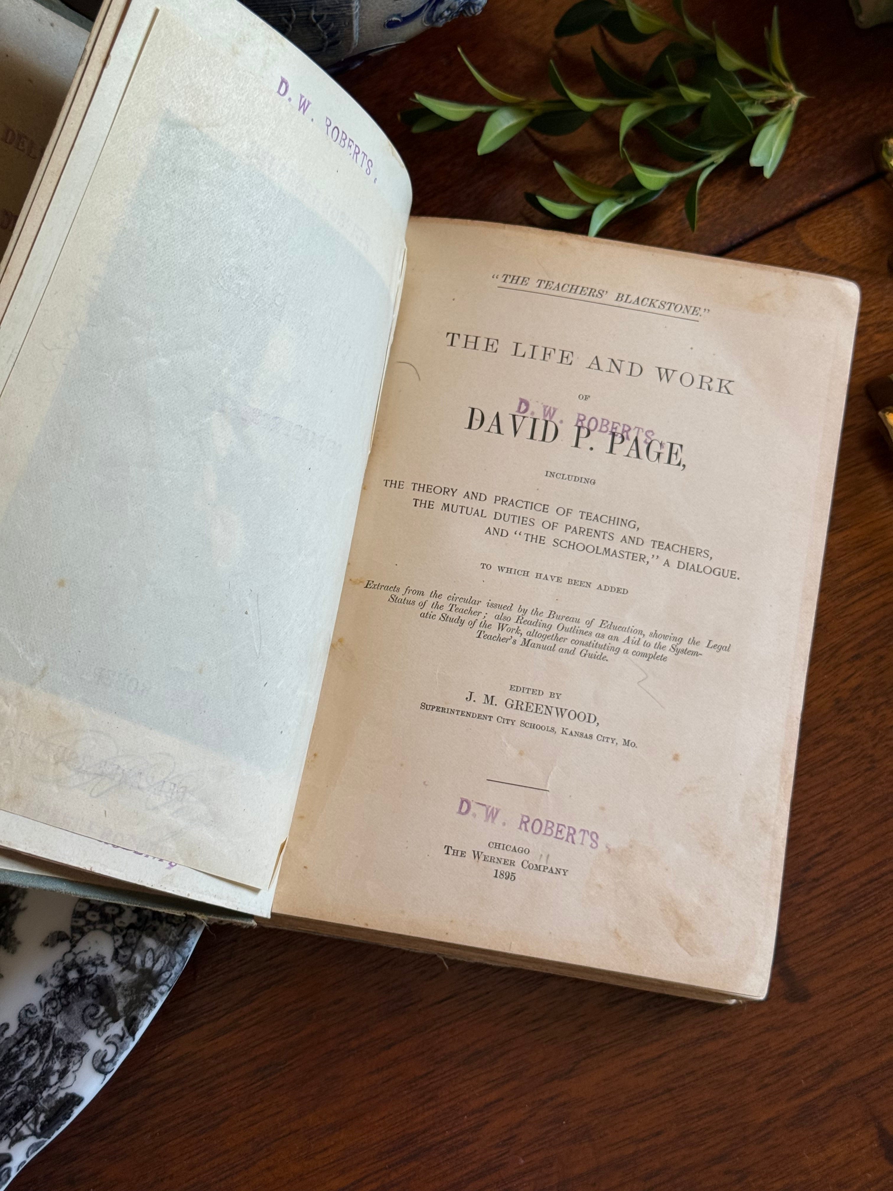 Antique 1895 The Working Teacher's Library Book