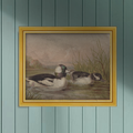 Waterfowl No. 02