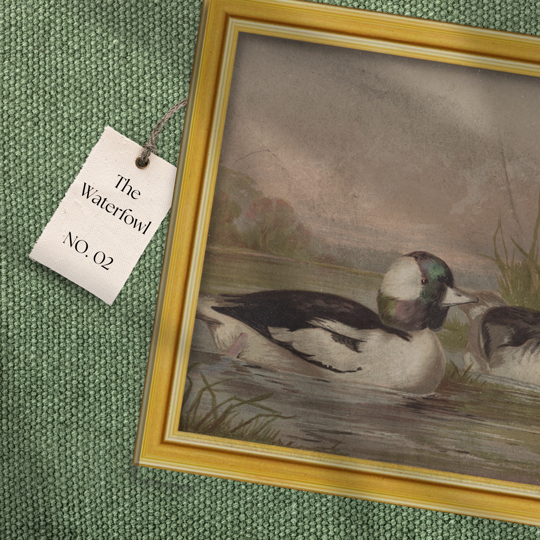 Waterfowl No. 02