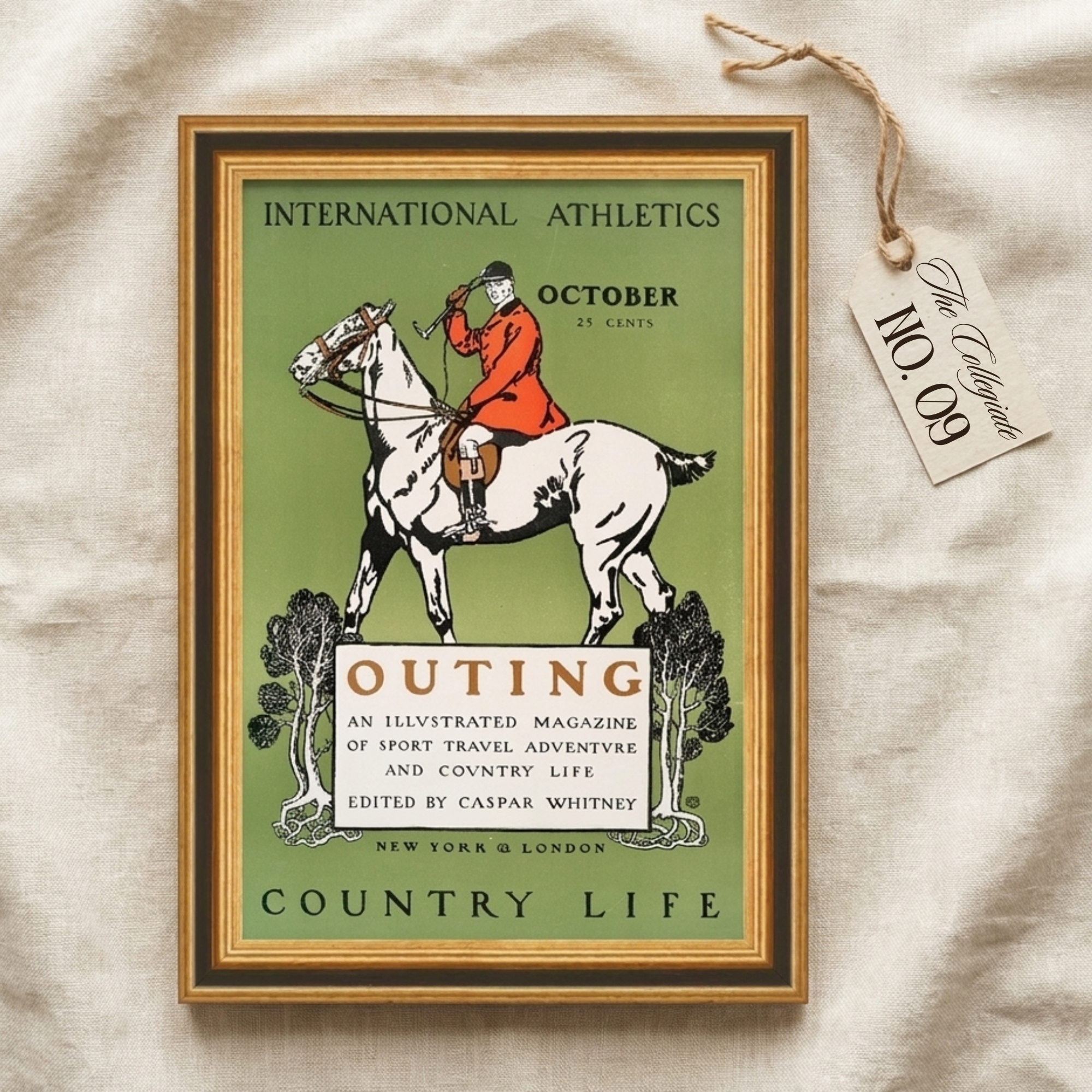 The Collegiate No. 09 - Outing Country Life Illustrated