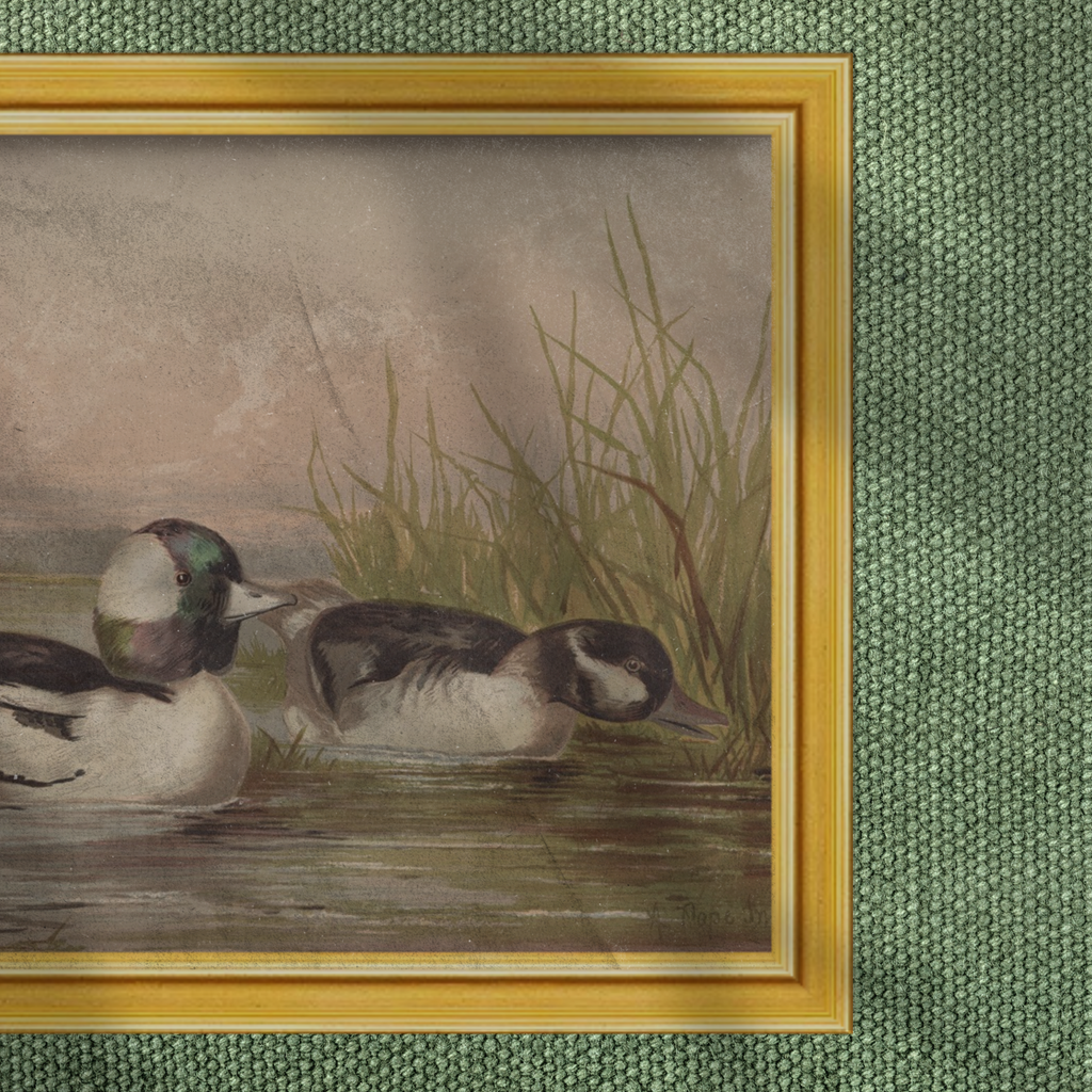 Waterfowl No. 02