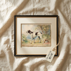 The Field Dog No. 02 - Archival Deckled Edge Framed Hunting Dog Print