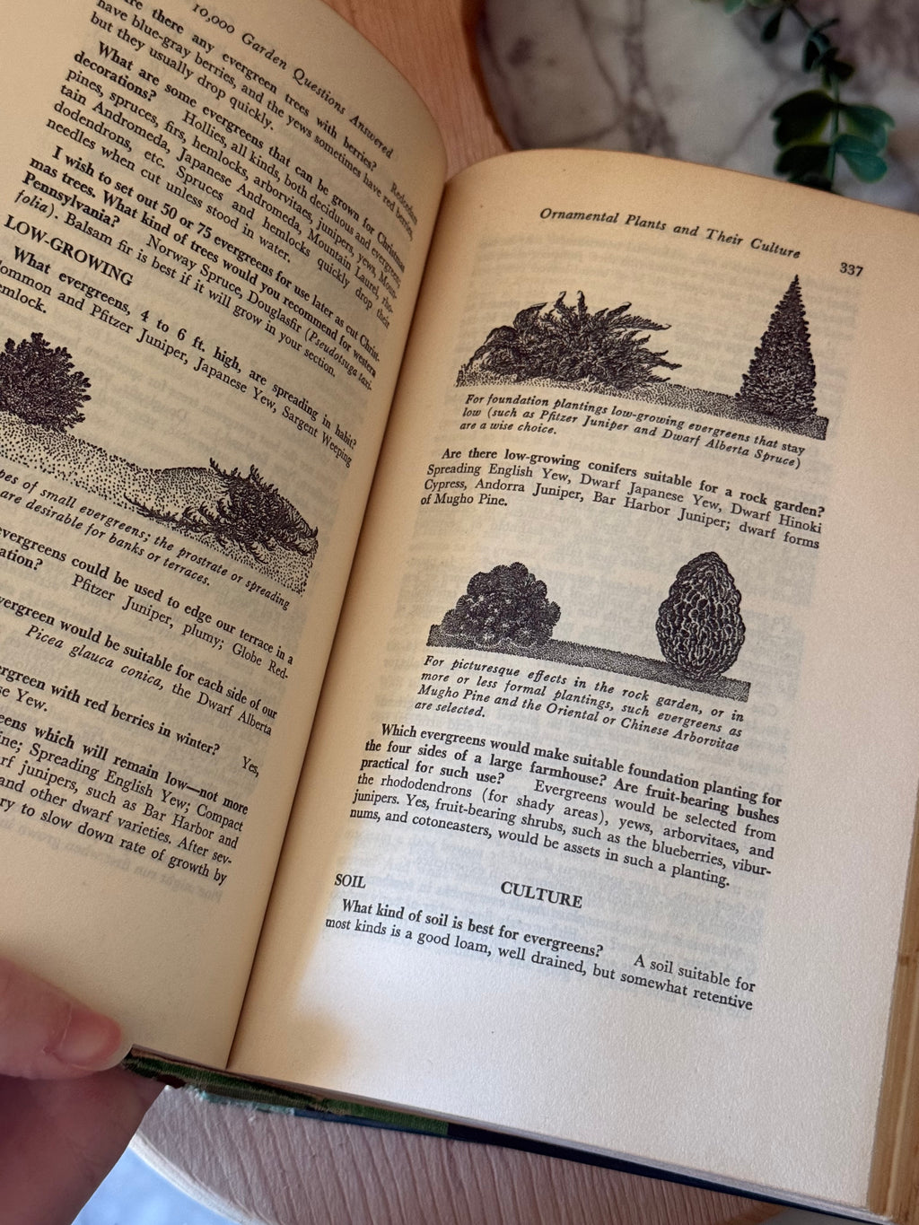 Vintage 10,000 Garden Questions Volumes, Set of 2