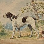 The Field Dog No. 02 - Archival Deckled Edge Framed Hunting Dog Print