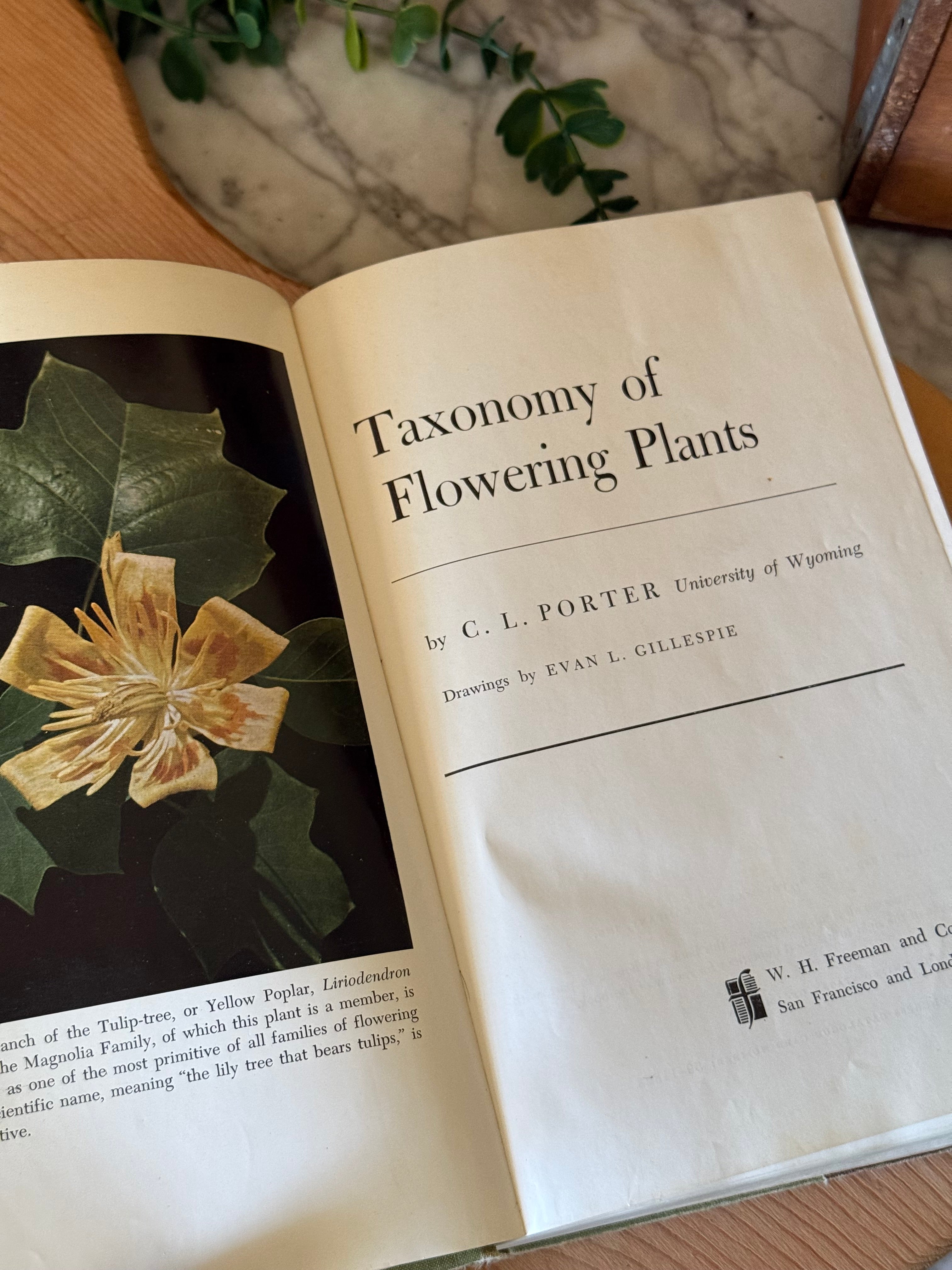 1959 Vintage Taxonomy Flowering Plants Book