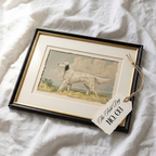 The Field Dog No. 03 - Archival Deckled Edge Framed Sporting Dog Print