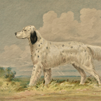 The Field Dog No. 03 - Archival Deckled Edge Framed Sporting Dog Print