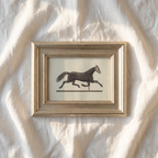 The Found Object No. 03 - Archival 5x7" Weather Vane Horse Framed