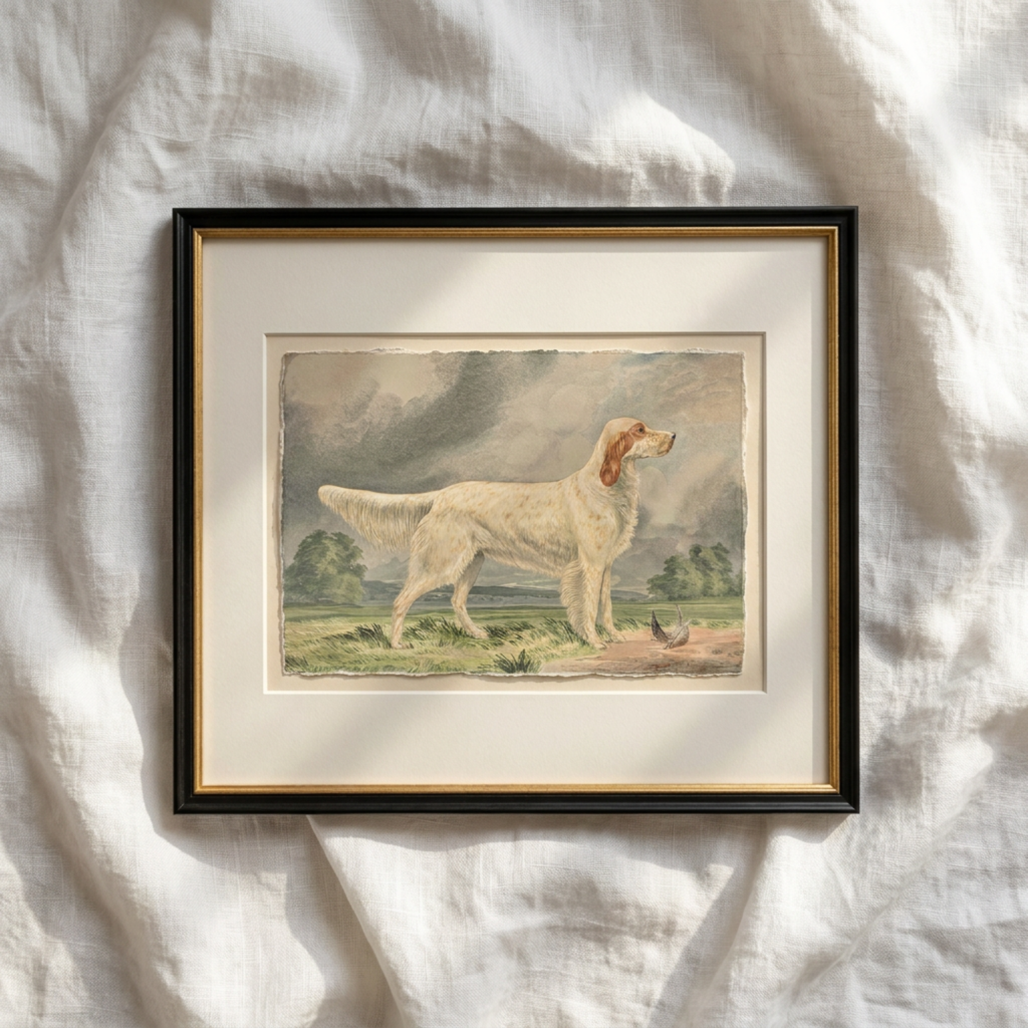 The Field Dog No. 04 - Archival Deckled Edge Framed Fine Art Retriever Print