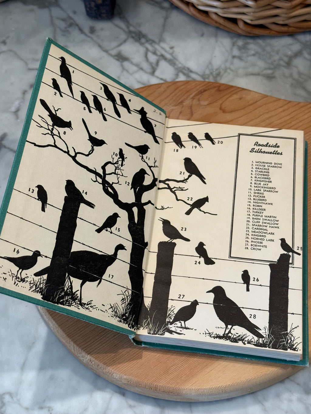 Vintage A Field Guide to The Birds of Texas Hardcover Book