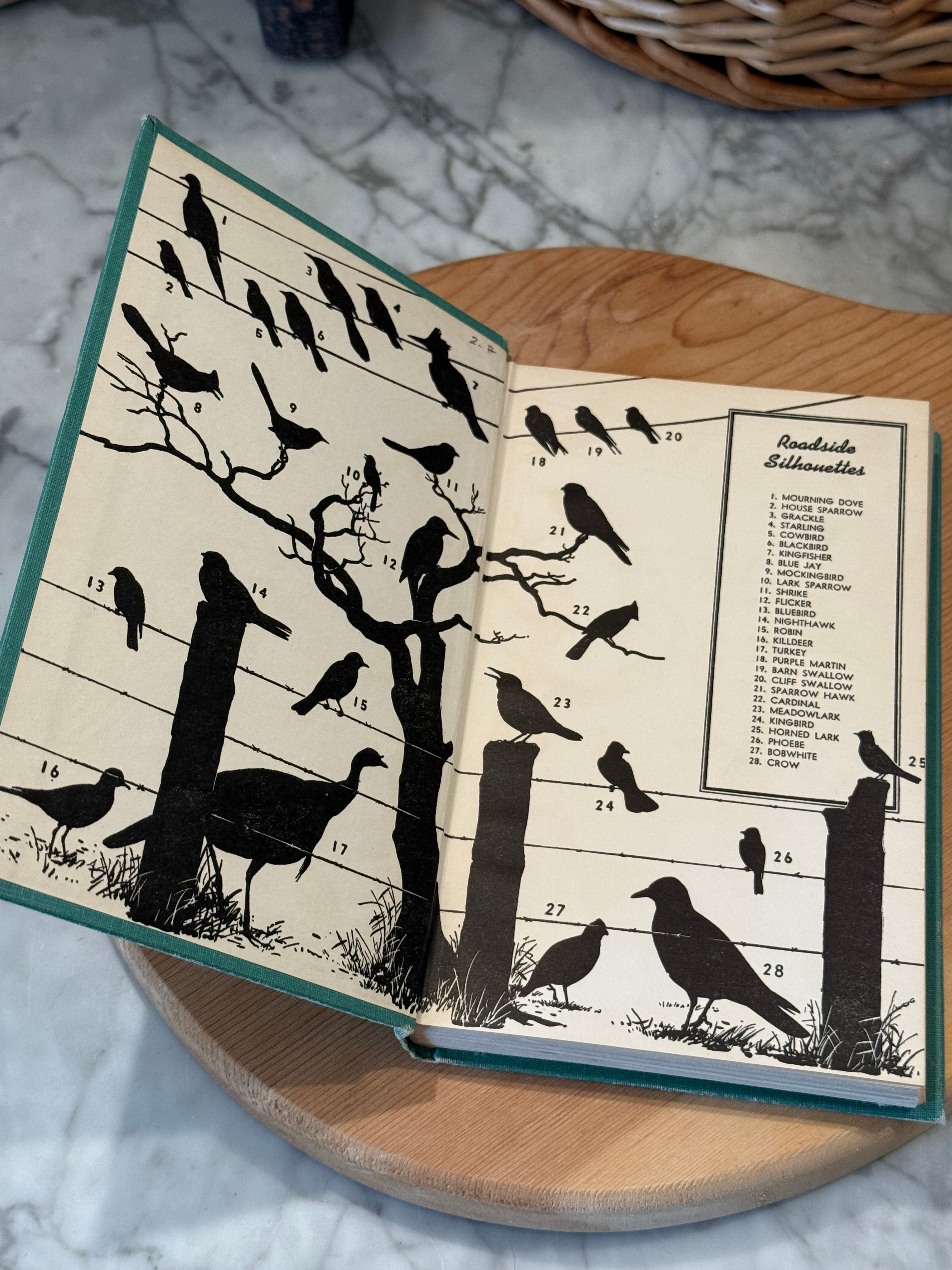 Vintage A Field Guide to The Birds of Texas Hardcover Book