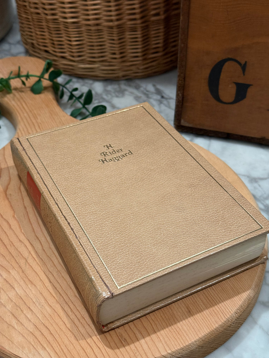 Vintage 1928 Works of Haggard Reader's Volume