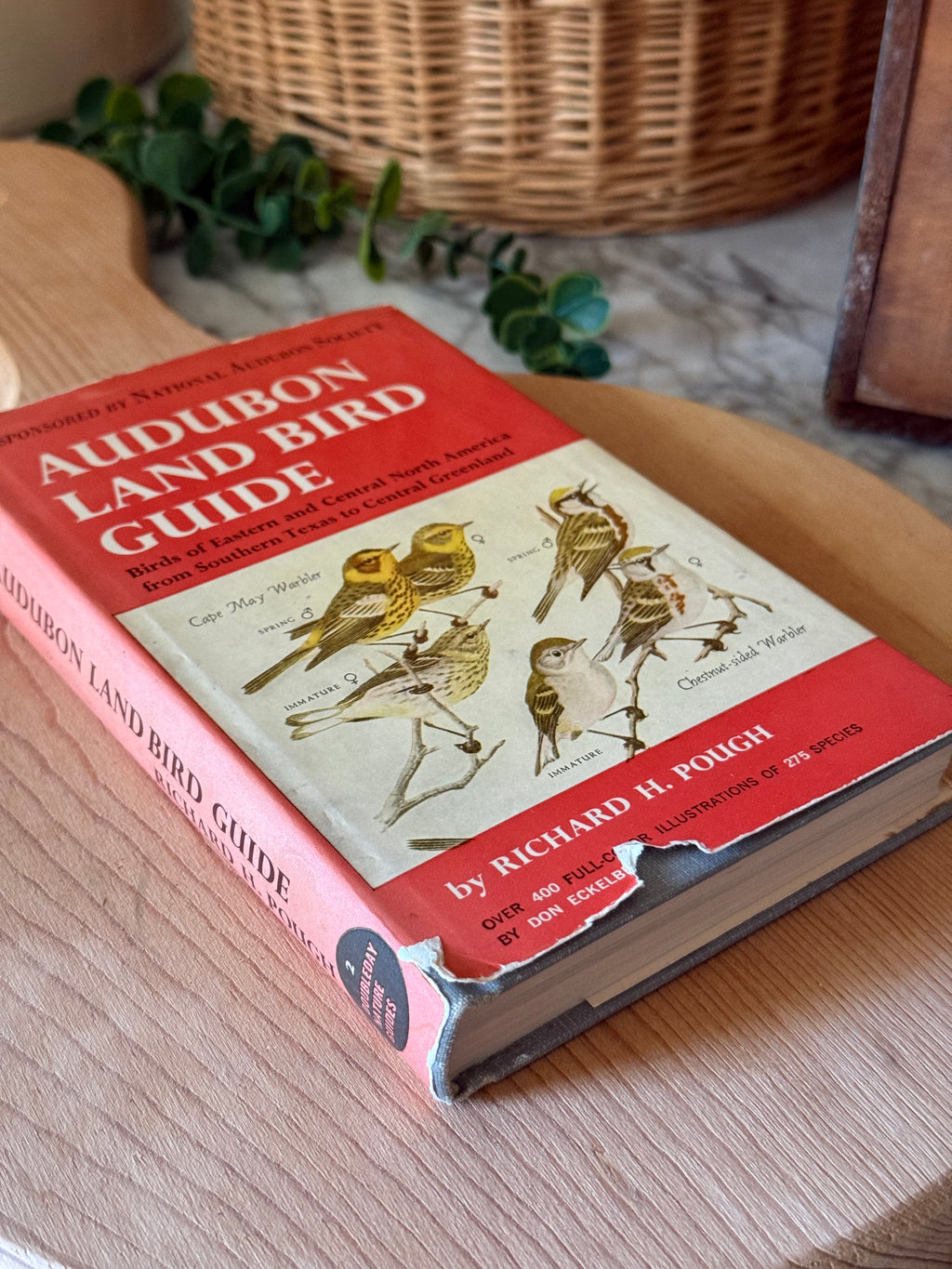 Vintage Illustrated Audubon Land Bird Guide