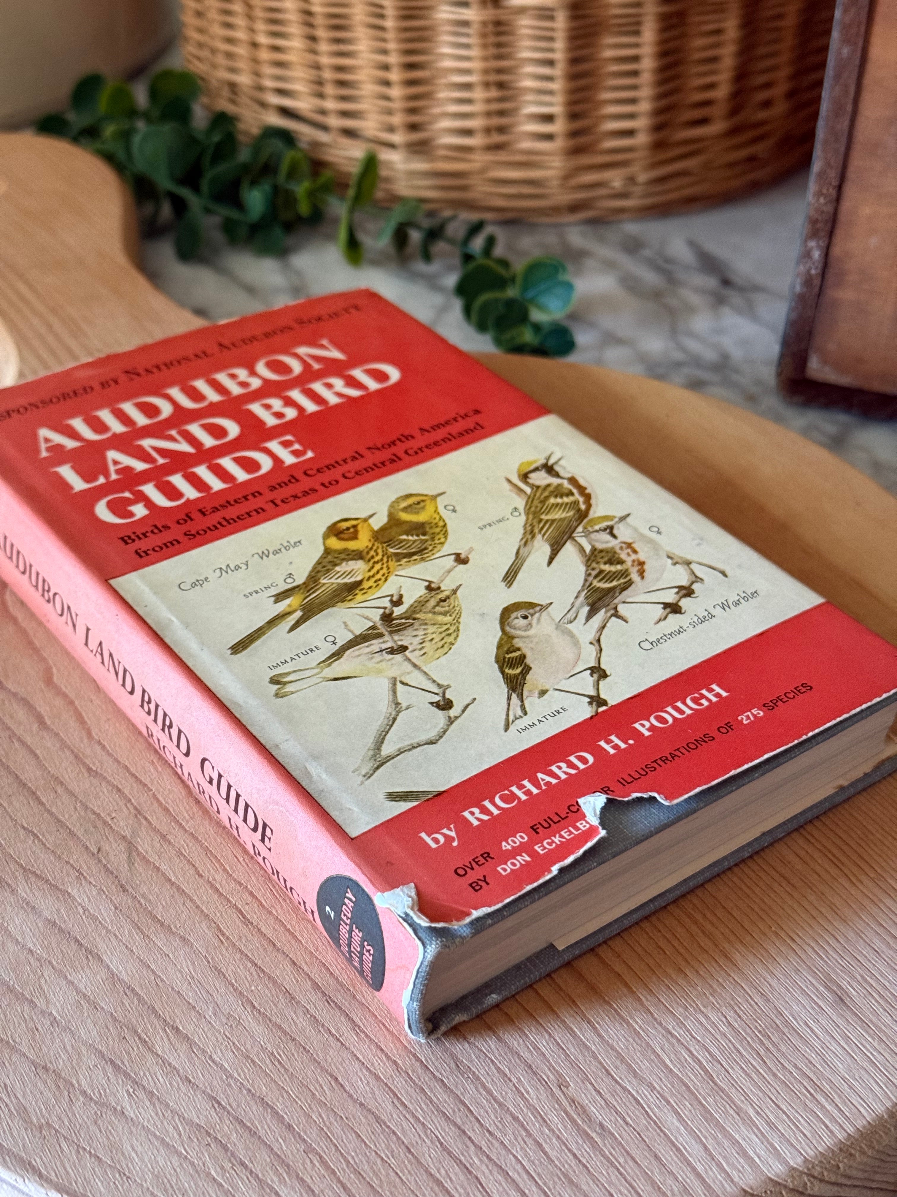 Vintage Illustrated Audubon Land Bird Guide