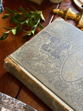 Antique 1895 The Working Teacher's Library Book