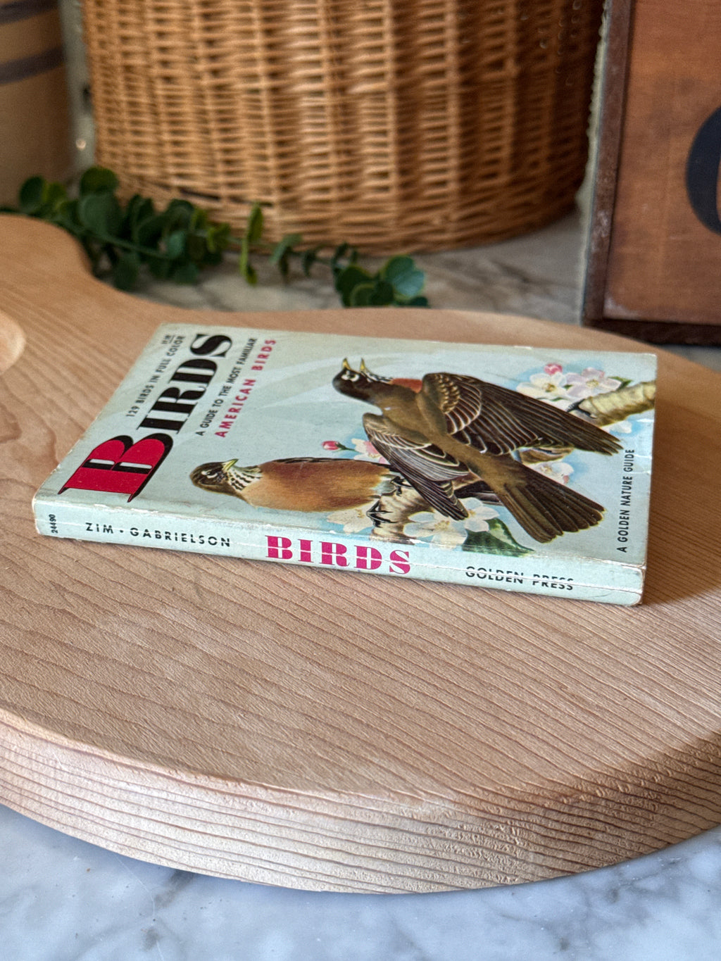 1962 Birds of North America Golden Guide