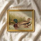 The Waterfowl No. 01 - Archival 8 x 10" Framed Mallards on Pond Fine Art Print