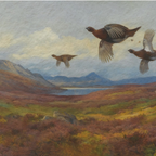 The Waterfowl No. 03 - Archival 36" x 20" Framed Red Grouse Archibald Thorburn Art Print