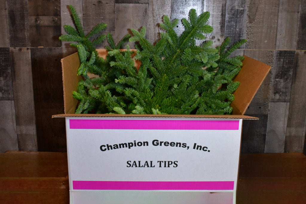Fresh Noble Fir Boughs