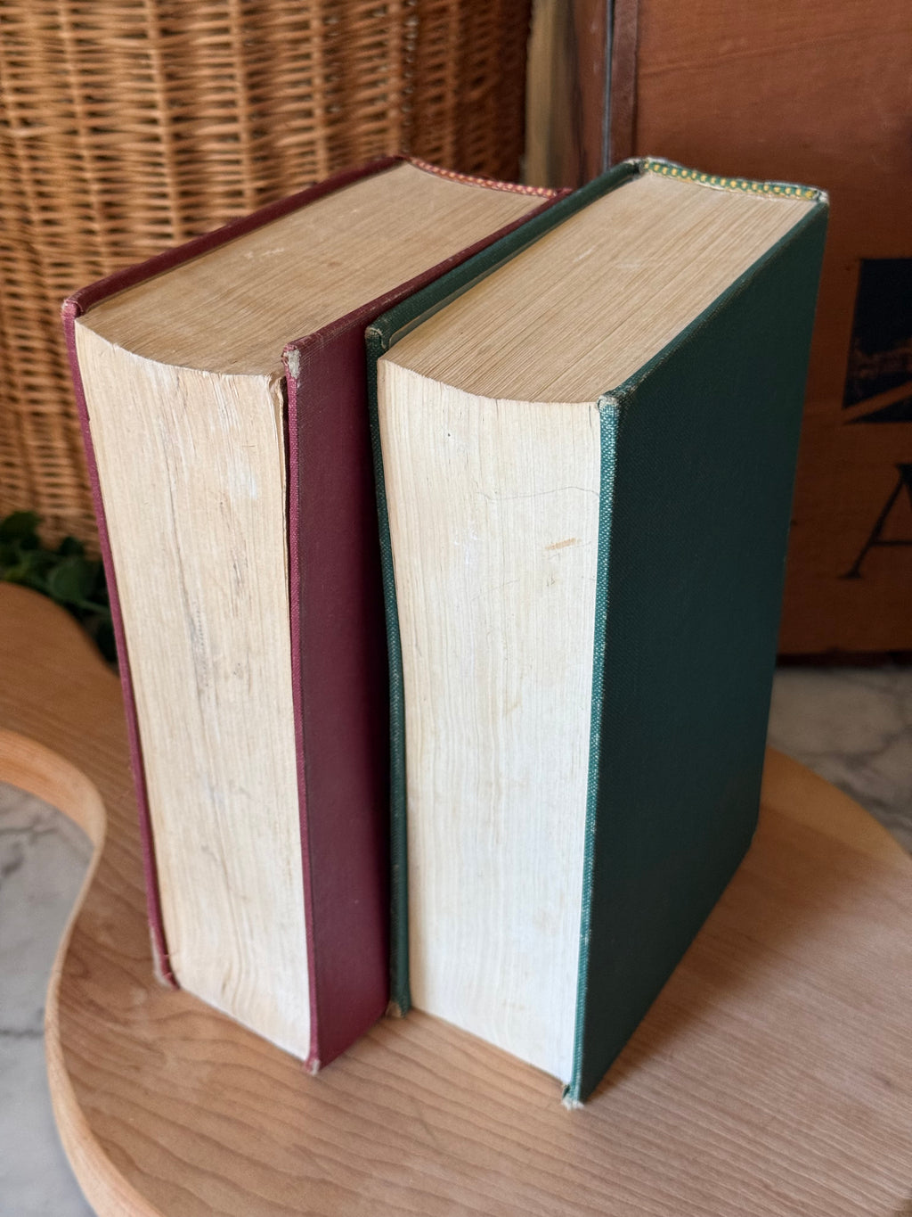 Vintage Norton Anthology Volumes, Set of 2