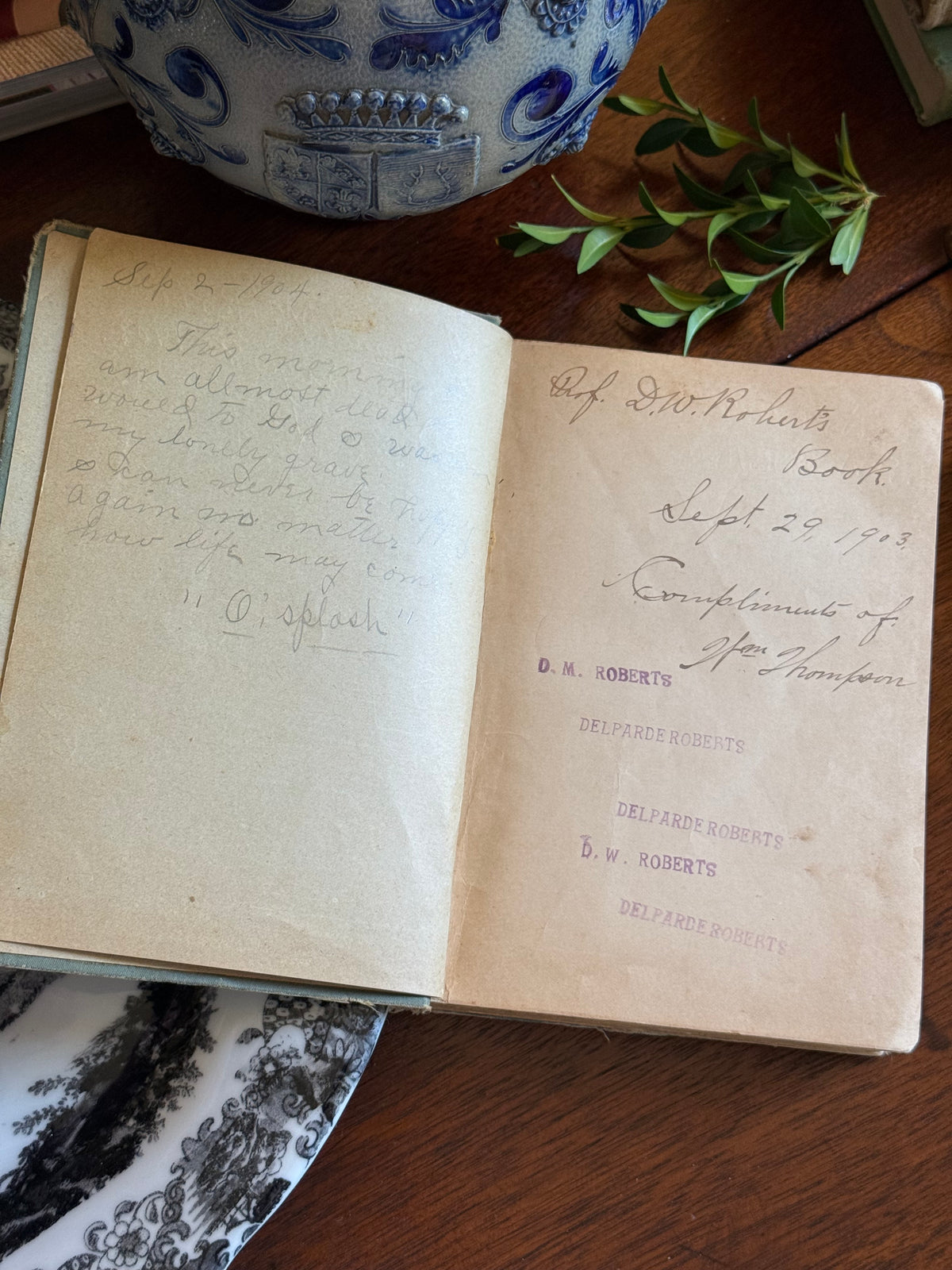 Antique 1895 The Working Teacher's Library Book