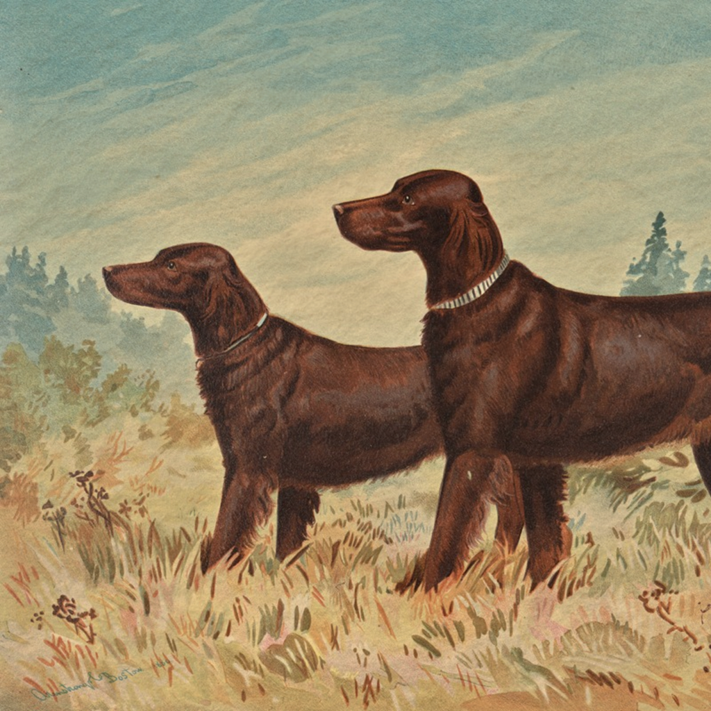 The Field Dog No. 05 - 5x7 Antique Inspired Gold Framed English Sporting Dog Portrait