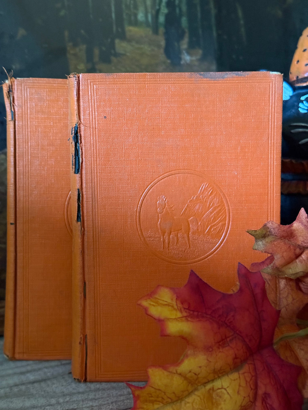 Vintage Orange Set of 2 Hardcover Books Shelf Decor by Zane Grey
