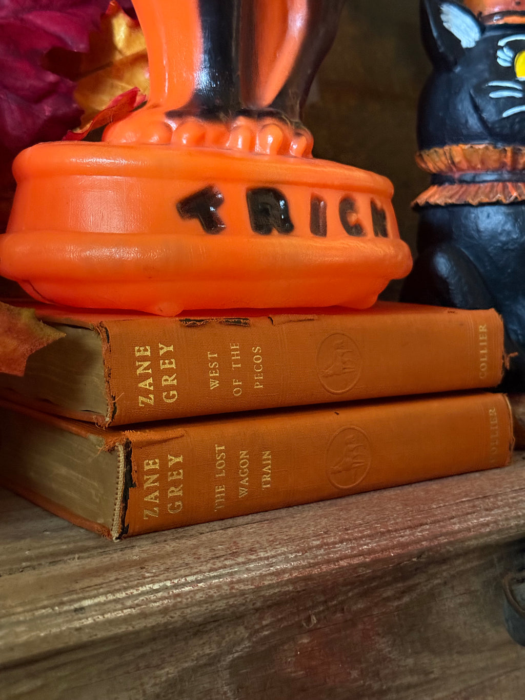 Vintage Orange Set of 2 Hardcover Books Shelf Decor by Zane Grey