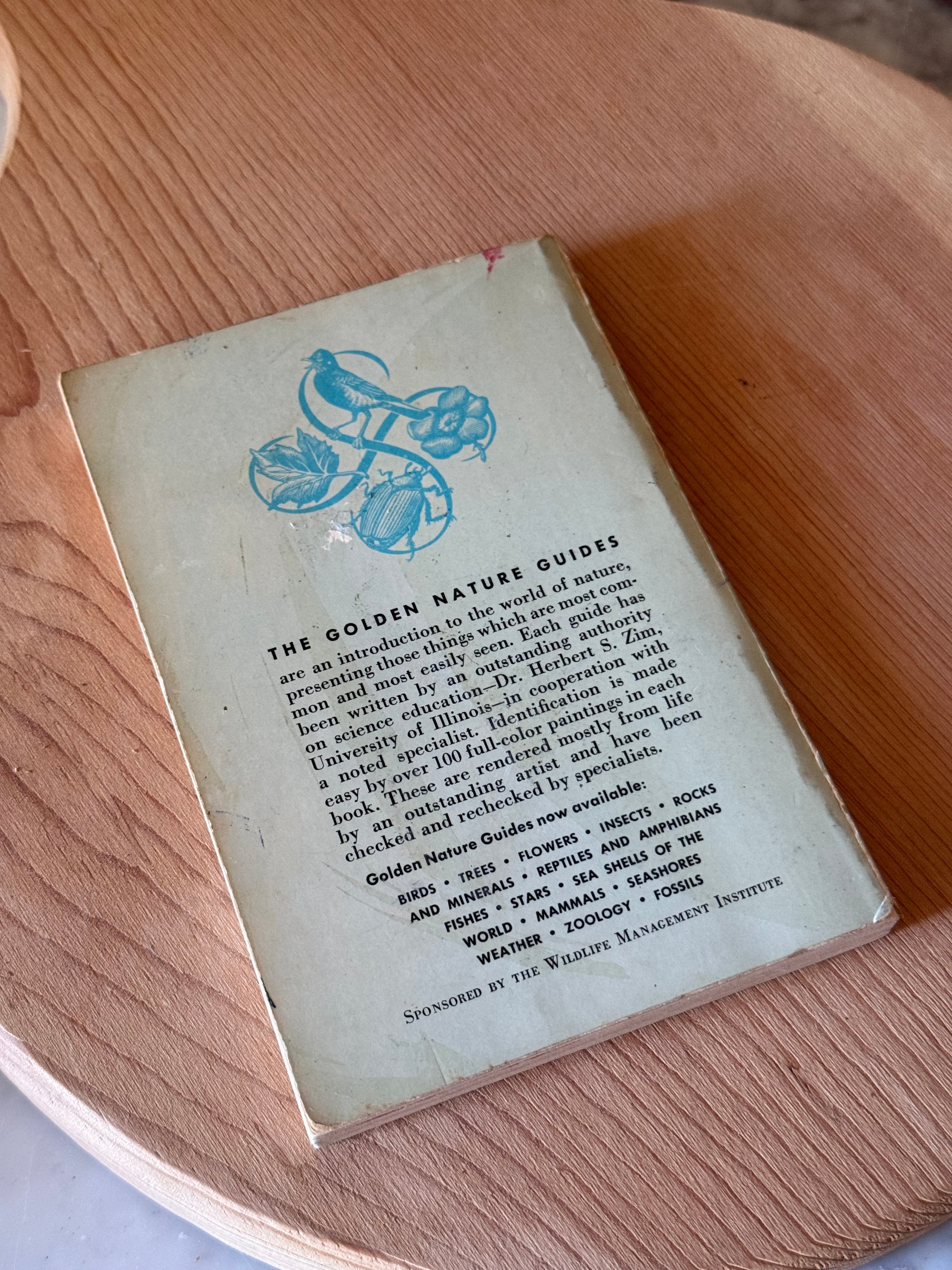 1962 Birds of North America Golden Guide