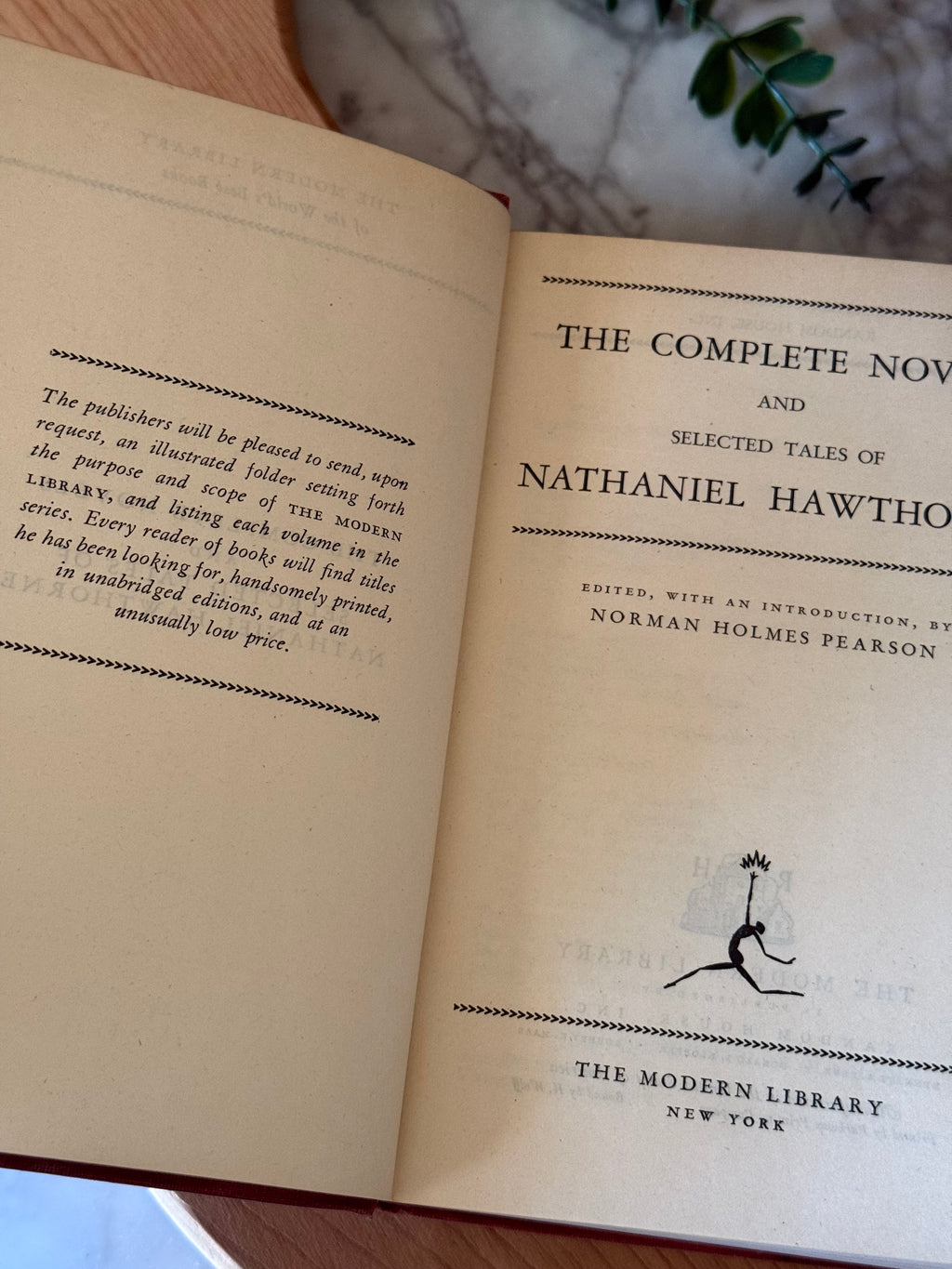 Vintage Novels & Tales of Nathaniel Hawthorne