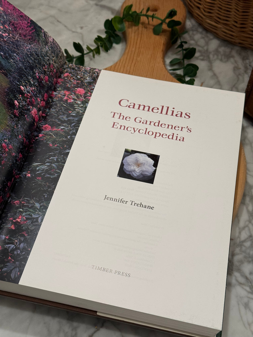 Camellias The Garden's Encyclopedia Book